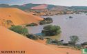 Sossusvlei - Image 1