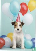 Hond met feesthoedje en ballonnen  - Bild 1
