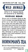 Kodiak Bear - Image 2