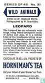 Leopard - Image 2