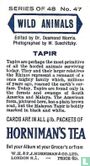 Tapir - Image 2