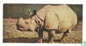Rhinoceros (Great Indian) - Image 1