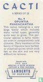 Opuntia Phaeacantha - Afbeelding 2