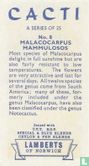 Malacocarpus Mammulosos - Afbeelding 2