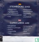 Steinbock / Capricorn - Afbeelding 2