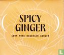 Spicy Ginger - Afbeelding 1