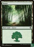 Forest - Image 1