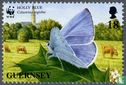 Butterflies - Image 1