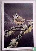  Mésange huppée - Image 1