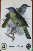 Exotic Birds - Image 1