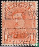 Le roi Albert I