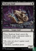 Skullcap Snail - Afbeelding 1