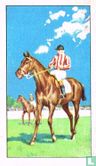 Seminole