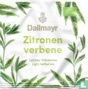 Zitronen verbene  - Afbeelding 1