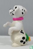 Dalmatien - Image 3