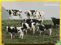 Noord-Holland - Image 1