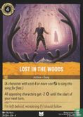 Lost in the woods