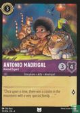 Antonio Madrigal