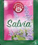 Salvia  - Image 1