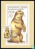 Alpenmarmot