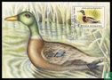 Birds - Image 1