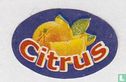 Citrus - Bild 2