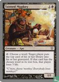 Tainted Monkey - Bild 1