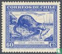 Flore et faune indigène