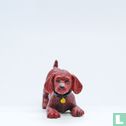 Paddy (Irish Setter)