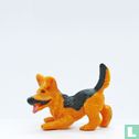 Prince (Alsatian) - Image 4