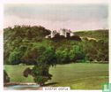 Dunster Castle - Afbeelding 1