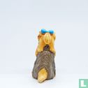 Cindy (Yorkshire Terrier) - Image 2