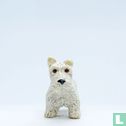 McRuff (Scottish Terrier) - Image 1