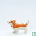 Scooter (Basset) - Image 4