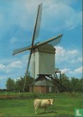 Korenmolen