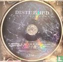 Indestructible - Image 3