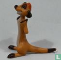 Timon
