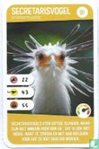 Secretarisvogel