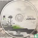 Wildflower - Image 3