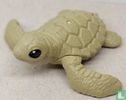 Zeeschildpad - Afbeelding 1