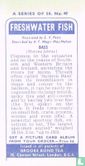 Bass - Image 2