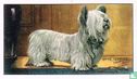 The Skye Terrier - Bild 1