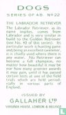 The Labrador Retriever