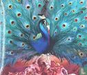 Sorceress - Afbeelding 1