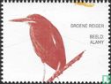Groene reiger