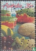 Des fruits - Image 1