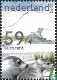 The Dutch Wad - Image 2