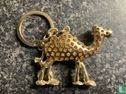 Egypte Camel
