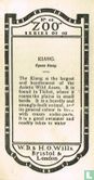 Kiang