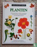 Planten - Bild 1